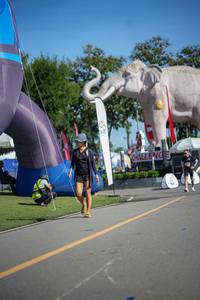 BIB: 
                            <button type="button" onclick="openModal(26542496)" class="btn btn-primary btn-sm float-right btn-popup" data-toggle="modal" data-target=".modal-high-quality">
                        <i class="fas fa-shopping-cart"></i> Add to Cart
                    </button>
                                            <button type="button" onclick="isThisMe(26542496, true)" class="btn btn-success btn-sm float-right btn-popup btn-isme hidden" data-toggle="tooltip" data-placement="bottom" title="นี่คือรูปของคุณใช่ไหม คลิกที่นี่เพื่อเอาเข้าอัลบั้ม">
                        <i class="fas fa-plus"></i> Add to album
                    </button>
                    <button type="button" onclick="isThisMe(26542496, false)" class="btn btn-warning btn-sm float-right btn-popup btn-isnotme hidden">
                        <i class="fas fa-ban"></i> Remove from album
                    </button>